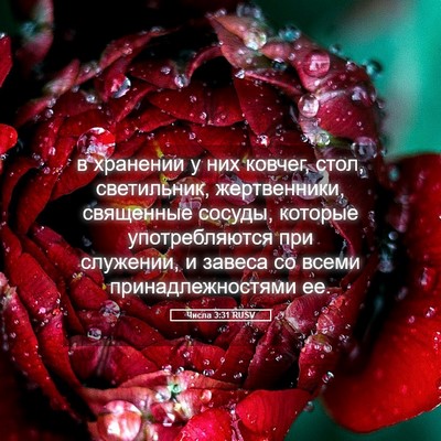 Picture 05 - Числа 3:31 RUSV - в хранении у них ковчег, - Bible Verse Picture