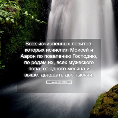 Picture 05 - Числа 3:39 RUSV - Всех исчисленных левитов, - Bible Verse Picture