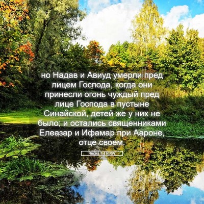 Picture 05 - Числа 3:4 RUSV - но Надав и Авиуд умерли - Bible Verse Picture