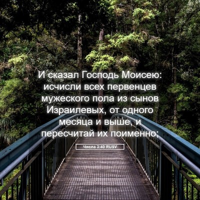 Picture 05 - Числа 3:40 RUSV - И сказал Господь Моисею: - Bible Verse Picture