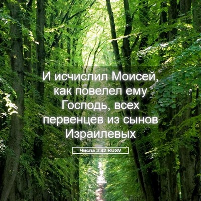 Picture 05 - Числа 3:42 RUSV - И исчислил Моисей, как - Bible Verse Picture