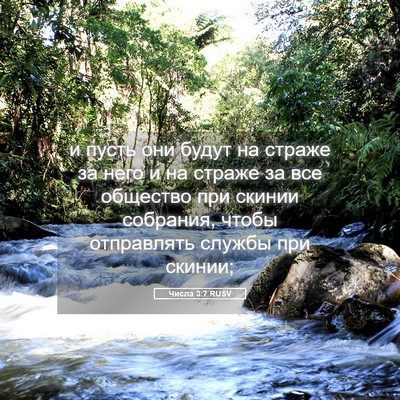 Picture 05 - Числа 3:7 RUSV - и пусть они будут на страже - Bible Verse Picture