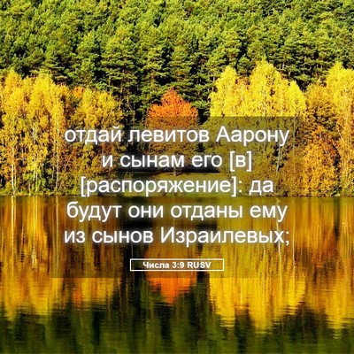 Picture 05 - Числа 3:9 RUSV - отдай левитов Аарону и - Bible Verse Picture