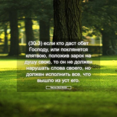 Picture 05 - Числа 30:2 RUSV - (30-3) если кто даст обет - Bible Verse Picture