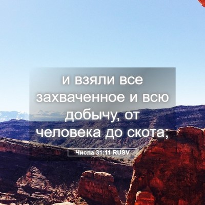 Picture 05 - Числа 31:11 RUSV - и взяли все захваченное и - Bible Verse Picture