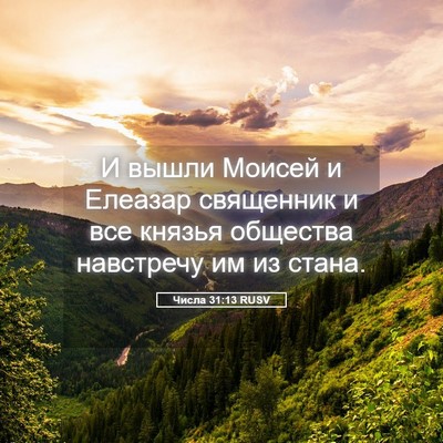 Picture 05 - Числа 31:13 RUSV - И вышли Моисей и Елеазар - Bible Verse Picture