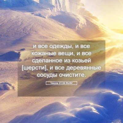 Picture 05 - Числа 31:20 RUSV - и все одежды, и все кожаные - Bible Verse Picture