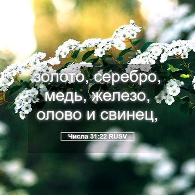Picture 05 - Числа 31:22 RUSV - золото, серебро, медь, - Bible Verse Picture