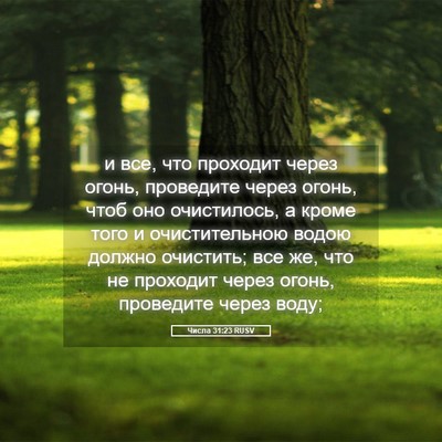 Picture 05 - Числа 31:23 RUSV - и все, что проходит через - Bible Verse Picture