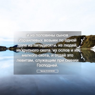 Picture 05 - Числа 31:30 RUSV - и из половины сынов - Bible Verse Picture