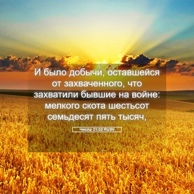 Picture 05 - Числа 31:32 RUSV - И было добычи, оставшейся - Bible Verse Picture