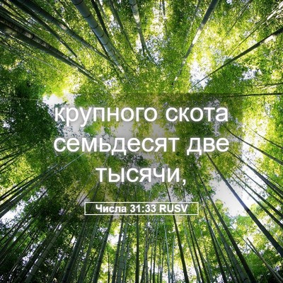 Picture 05 - Числа 31:33 RUSV - крупного скота семьдесят - Bible Verse Picture