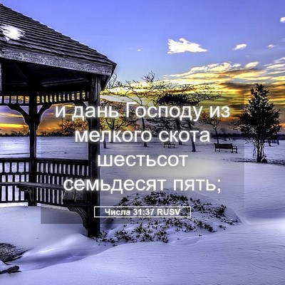 Picture 05 - Числа 31:37 RUSV - и дань Господу из мелкого - Bible Verse Picture