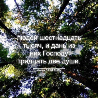 Picture 05 - Числа 31:40 RUSV - людей шестнадцать тысяч, и - Bible Verse Picture