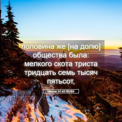 Picture 05 - Числа 31:43 RUSV - половина же [на долю] - Bible Verse Picture