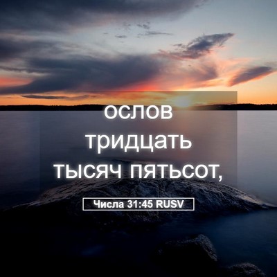 Picture 05 - Числа 31:45 RUSV - ослов тридцать тысяч - Bible Verse Picture