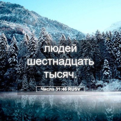 Picture 05 - Числа 31:46 RUSV - людей шестнадцать - Bible Verse Picture