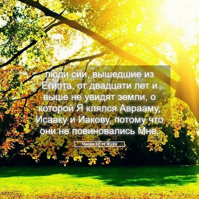 Picture 05 - Числа 32:11 RUSV - люди сии, вышедшие из - Bible Verse Picture