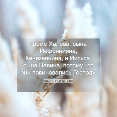 Picture 05 - Числа 32:12 RUSV - кроме Халева, сына - Bible Verse Picture