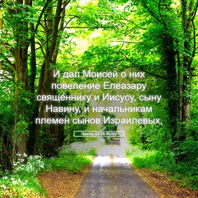Picture 05 - Числа 32:28 RUSV - И дал Моисей о них - Bible Verse Picture