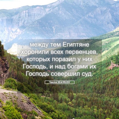 Picture 05 - Числа 33:4 RUSV - между тем Египтяне - Bible Verse Picture