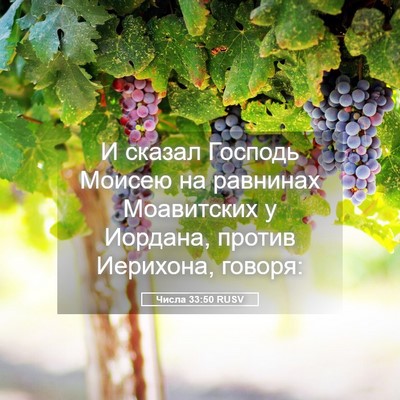 Picture 05 - Числа 33:50 RUSV - И сказал Господь Моисею на - Bible Verse Picture