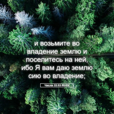 Picture 05 - Числа 33:53 RUSV - и возьмите во владение - Bible Verse Picture