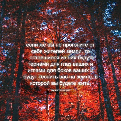 Picture 05 - Числа 33:55 RUSV - если же вы не прогоните от - Bible Verse Picture