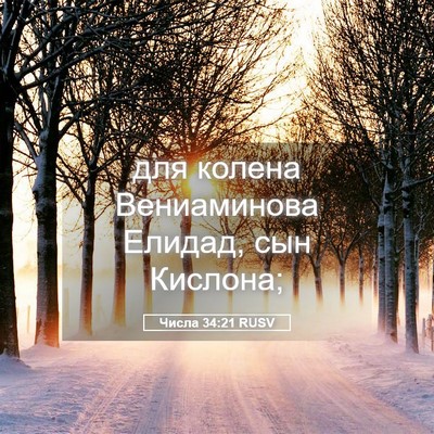 Picture 05 - Числа 34:21 RUSV - для колена Вениаминова - Bible Verse Picture