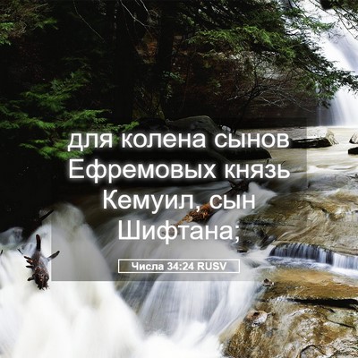 Picture 05 - Числа 34:24 RUSV - для колена сынов Ефремовых - Bible Verse Picture