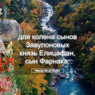 Picture 05 - Числа 34:25 RUSV - для колена сынов - Bible Verse Picture