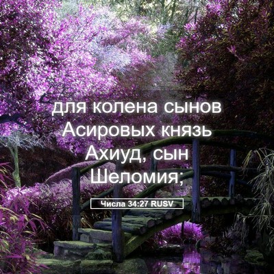 Picture 05 - Числа 34:27 RUSV - для колена сынов Асировых - Bible Verse Picture