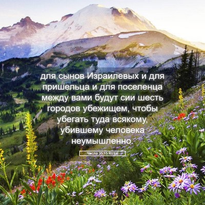 Picture 05 - Числа 35:15 RUSV - для сынов Израилевых и для - Bible Verse Picture