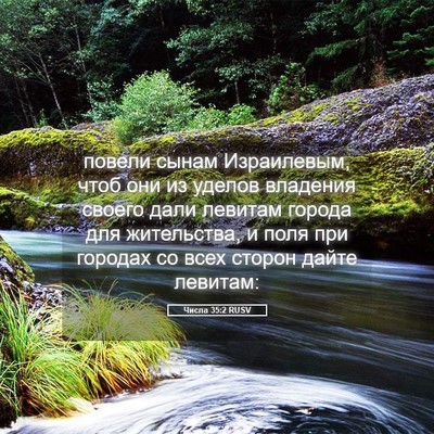 Picture 05 - Числа 35:2 RUSV - повели сынам Израилевым, - Bible Verse Picture