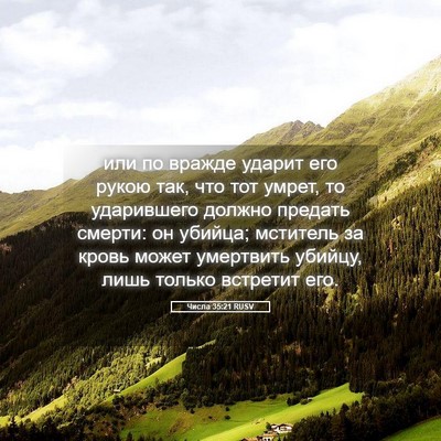 Picture 05 - Числа 35:21 RUSV - или по вражде ударит его - Bible Verse Picture