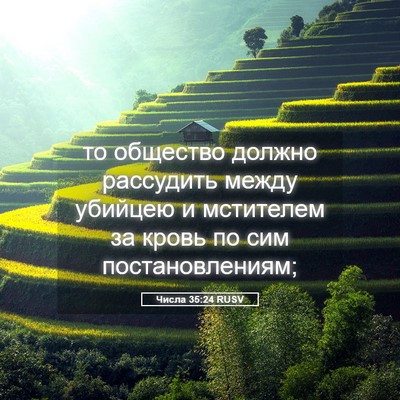 Picture 05 - Числа 35:24 RUSV - то общество должно - Bible Verse Picture