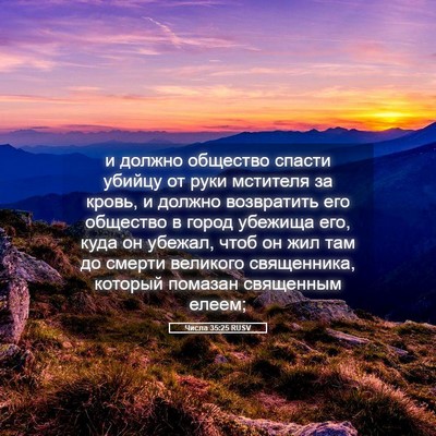 Picture 05 - Числа 35:25 RUSV - и должно общество спасти - Bible Verse Picture