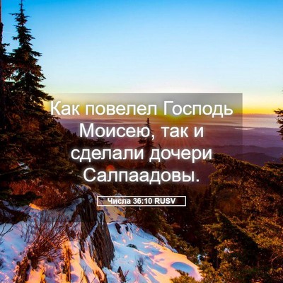 Picture 05 - Числа 36:10 RUSV - Как повелел Господь - Bible Verse Picture