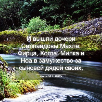 Picture 05 - Числа 36:11 RUSV - И вышли дочери Салпаадовы - Bible Verse Picture
