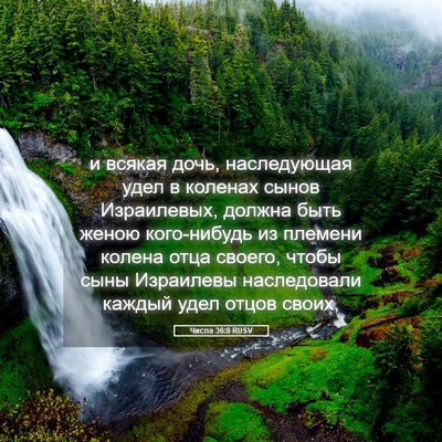 Picture 05 - Числа 36:8 RUSV - и всякая дочь, наследующая - Bible Verse Picture