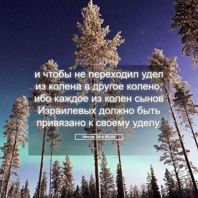 Picture 05 - Числа 36:9 RUSV - и чтобы не переходил удел - Bible Verse Picture
