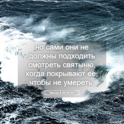 Picture 05 - Числа 4:20 RUSV - но сами они не должны - Bible Verse Picture