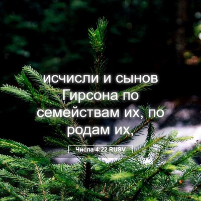 Picture 05 - Числа 4:22 RUSV - исчисли и сынов Гирсона по - Bible Verse Picture