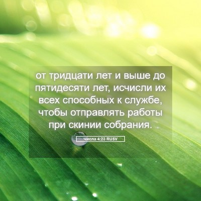 Picture 05 - Числа 4:23 RUSV - от тридцати лет и выше до - Bible Verse Picture