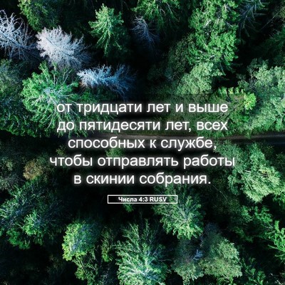 Picture 05 - Числа 4:3 RUSV - от тридцати лет и выше до - Bible Verse Picture
