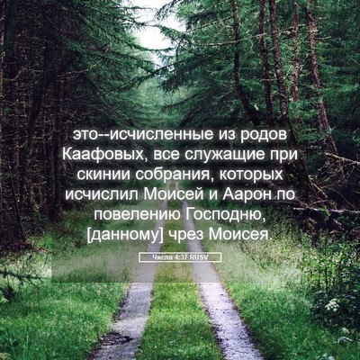 Picture 05 - Числа 4:37 RUSV - это--исчисленные из родов - Bible Verse Picture