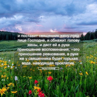 Picture 05 - Числа 5:18 RUSV - и поставит священник жену - Bible Verse Picture