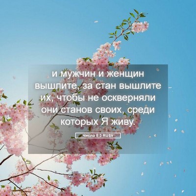 Picture 05 - Числа 5:3 RUSV - и мужчин и женщин вышлите, - Bible Verse Picture