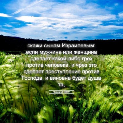 Picture 05 - Числа 5:6 RUSV - скажи сынам Израилевым: - Bible Verse Picture