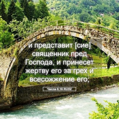 Picture 05 - Числа 6:16 RUSV - и представит [сие] - Bible Verse Picture